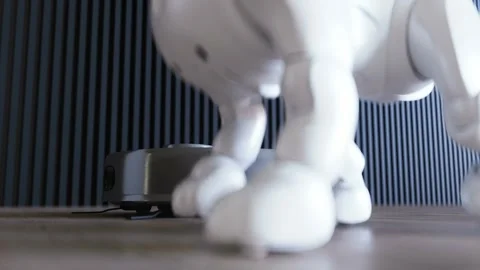 Small funny robotic smart dog and vacuum cleaner robot. 4K animation. Stock Footage 268366248