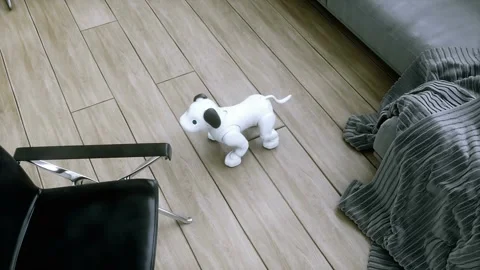 Small funny robotic smart dog wakes up in the room. 4k animation. Видео 268370133