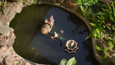 Small garden fish pond Stock Footage 88628840
