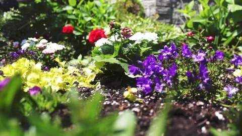 Small Garden 動画素材 90869463