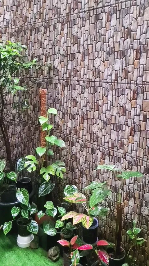 Small Garden Stock Footage 308685630