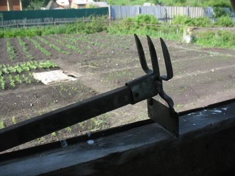 Small garden hoe in the background of the spring garden beds Stock Photos