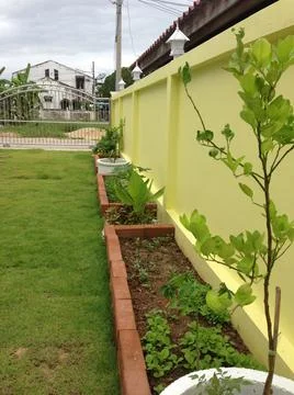 Small garden Stock Photos