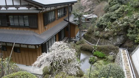 Small garden pond behind home in Japan Stock Footage 86759014