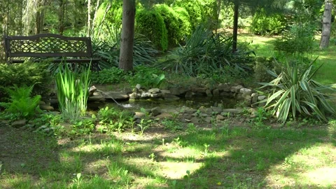 Small garden pond with frog-shaped fountain and stone shores in spring Stock Footage 188106479