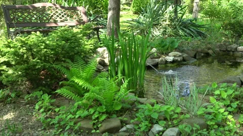 Small garden pond with frog-shaped fountain and stone shores in spring Stock Footage 190445202