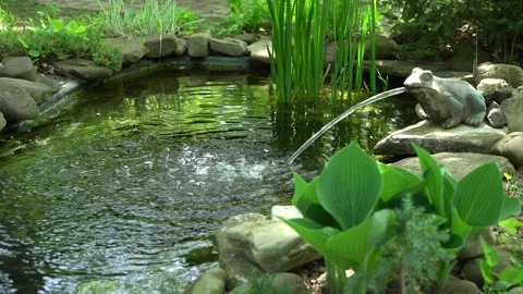 Small garden pond with frog-shaped fountain and stone shores in spring Stock Footage 196208970