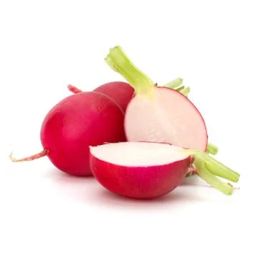 .small garden radish  . Stock Photos