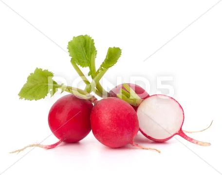Small garden radish Stock Photos