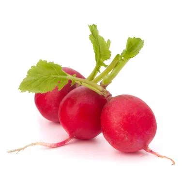 Small garden radish Stock Photos