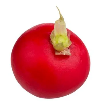Small garden radish Stock-Fotos