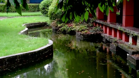 The small garden scene in the drizzle Stock Footage 157134506