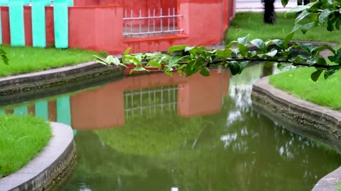 The small garden scene in the drizzle Stock Footage 157134533