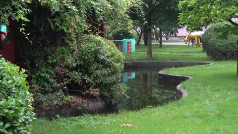 The small garden scene in the drizzle Stock Footage 157134695