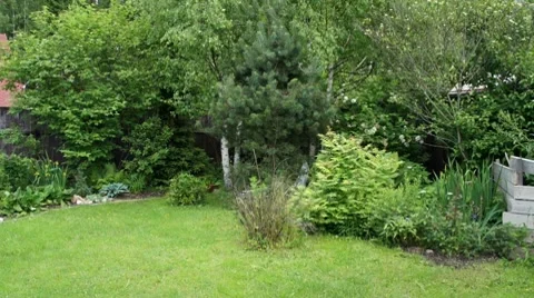 Small garden at summer day Stock Footage 7749280