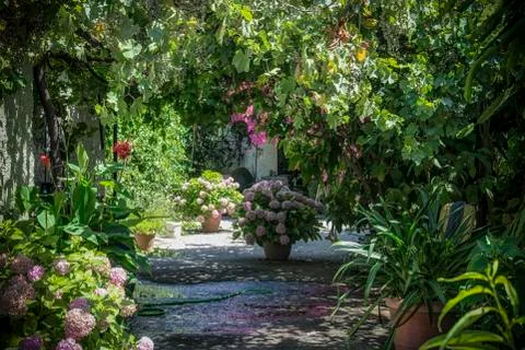 A Small Garden in Summer Stock Photos