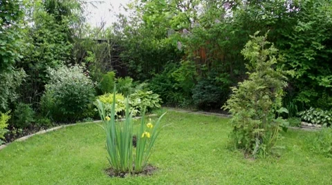 Small garden at summer windy day Stock Footage 7746119