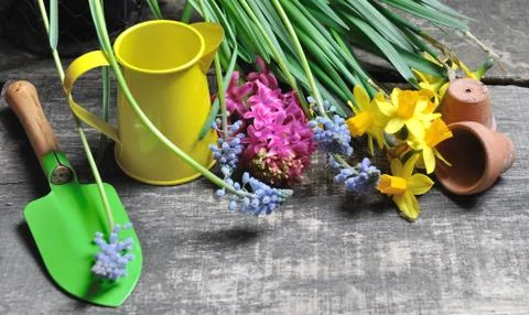 Small garden tools and spring flowers on wooden background Stock-Fotos