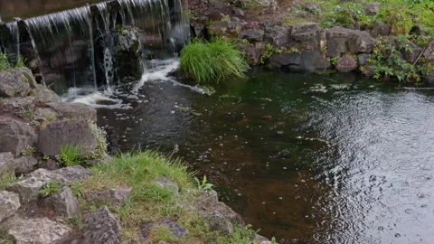 Small garden waterfall flowing into dark pond surrounded by rocks, grass, and Stock Footage 345453901