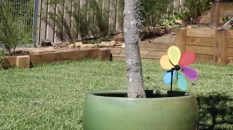 Small Garden Windmill 스톡 동영상 50545843