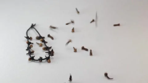 A small garland of cloves and falling cloves Stock Footage 294095143