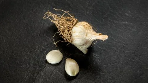 Small garlic bulb with roots, two cloves next on black working board. Stock Photos