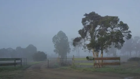 Small Gate and Fence in Front of a Dirtroad in Light Fog Stock Footage 72576556