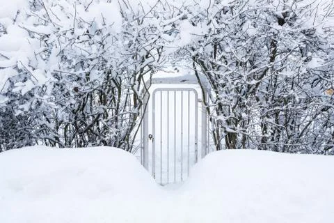 Small gate in hedgerow at winter Stock Photos