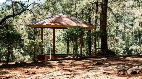 A small gazebo is in the middle of a forest Stock Photos