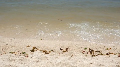Small gentle waves lapping on a beautiful tropical beach on a sunny summer day. Stock Footage 95359764