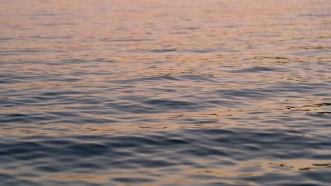 Small Gentle Waves Ripple Over A Peaceful Lake At Sunset Stock Footage 87396815