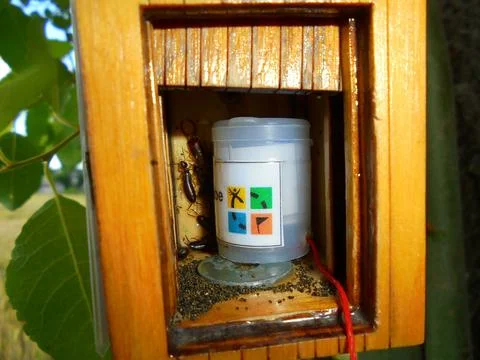 Small geocache container of a cylindric shape Stock Photos