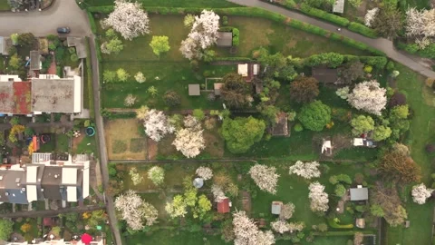 Small German Garden Spot during Spring Season | German Schrebergarten Stock Footage 135871759