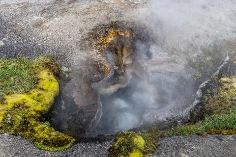 A small geyse eroding is in the ground Foto stock