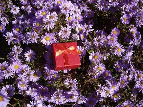 Small gift box on a background of blue flowers Fotos de archivo