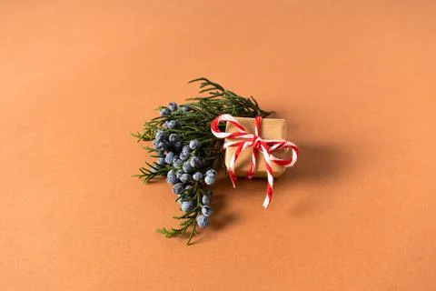 Small gift with a sprig of pine needles on a beige background Stock Photos