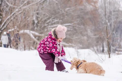 Small girl pull out ring toy from dog in snow Stock Photos