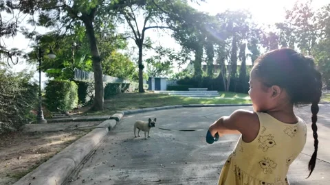 Small girl pulling dog leash at street. Vidéo 294048689