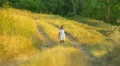 The small girl run on the way by forest background. Slow motion capture HD Footage