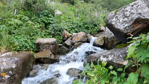 Small glacial river in the mountains 動画素材 159473411