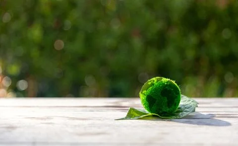 The small globe, earth is on hand, grass, leaf. The globe has maps on it an.. Stock Photos