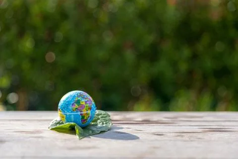 The small globe, earth is on hand, grass, leaf. The globe has maps on it an.. Stock Photos