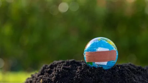 The small globe, earth is on hand, grass, leaf. The globe has maps on it an.. Stock Photos