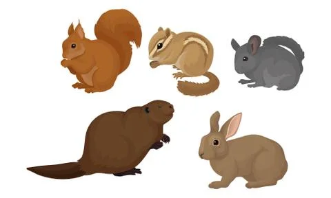 Small Gnawing Animals Vector Set Isolated On White Background Illustrazione stock