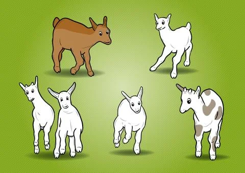 Small goats Illustrazione stock