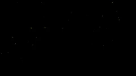 Small golden fireflies drift through a dark night sky, creating a magical and Stock Footage 340260137