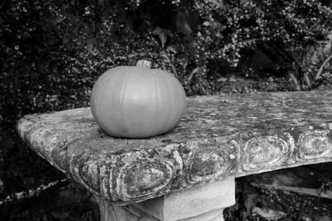 Small gourd on a stone bench Stock Photos