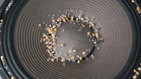 Small Grains Dancing on Loudspeaker Cone During Heavy Bass Vibration Stockbeeldmateriaal 334734788