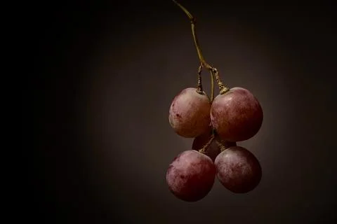 Small grape cluster illuminated with soft studio lighting Stock Photos
