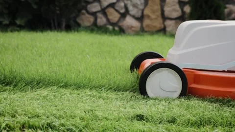 Small grass cuttings fly out of the rumbling lawnmower. Cutting of the grass Stock Footage 164873569